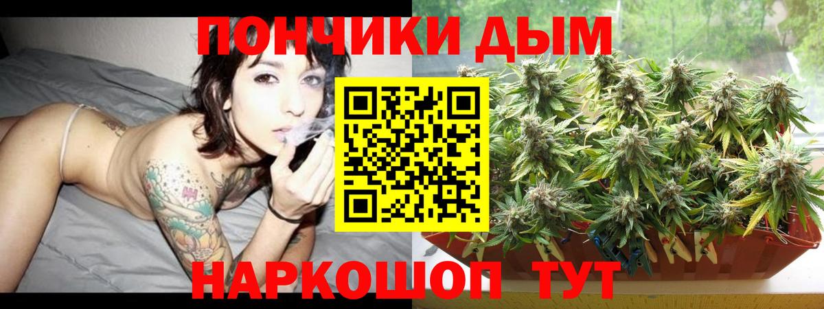 Мурино  МАРИХУАНА LSD WEED  МАРИХУАНА семена  Вход с VPN  Бошки Шишки OG Kush 